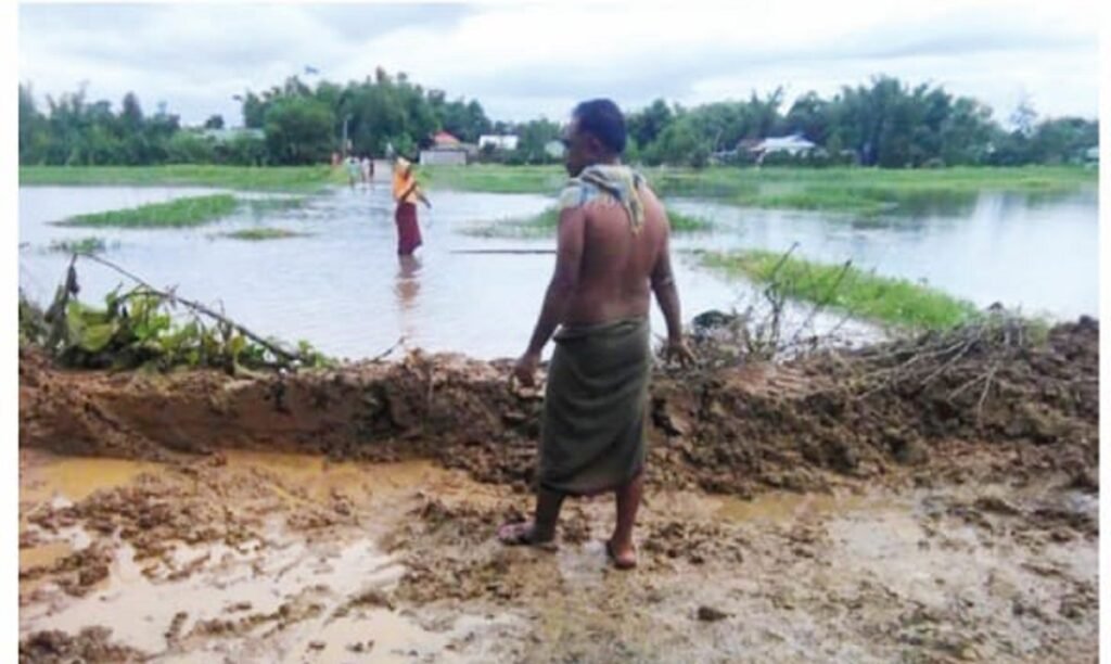 শঙ্গাইয়ূম্ফমদা খূৎশেমগী ঈচাও মায়োক্নরে