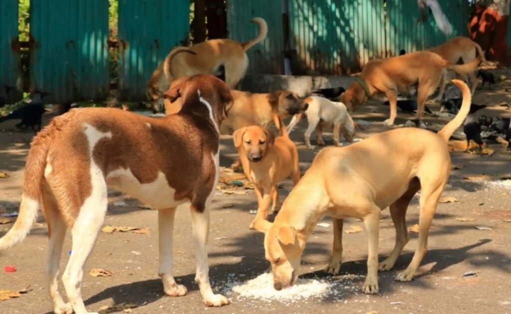 অথোরিটিনা ফাজীল্লিবা, লম্বীদা লৈবা হুয়শিং হীদাক কাপথোক্লগা থোদোকখিননবা সুপ্রিম কোর্টনা খঙহনখ্রে