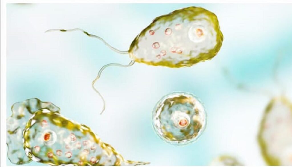 ব্রেনদা ইনফেক্সন থোকহনবা লাইনা অমনা কেরলাদা মীওই ১৯ হাৎখ্রে